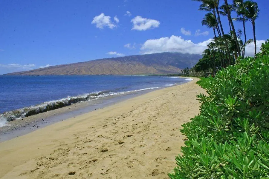 Kihei Beach, #509 Condo 美国